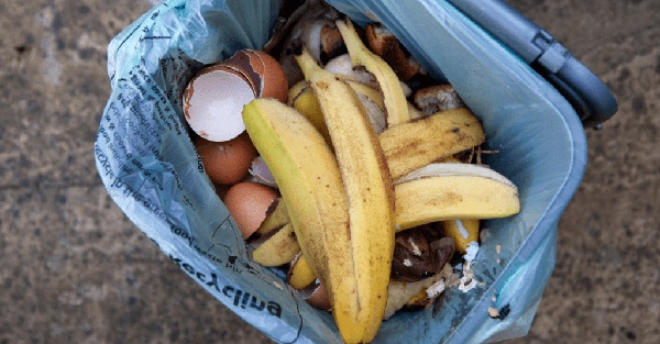 Food waste recycling